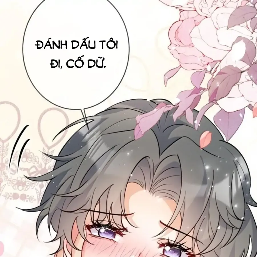 Nữ Chính Hắc Nguyệt Quang Luôn Muốn Đánh Dấu Tôi Chapter 41 - Trang 2