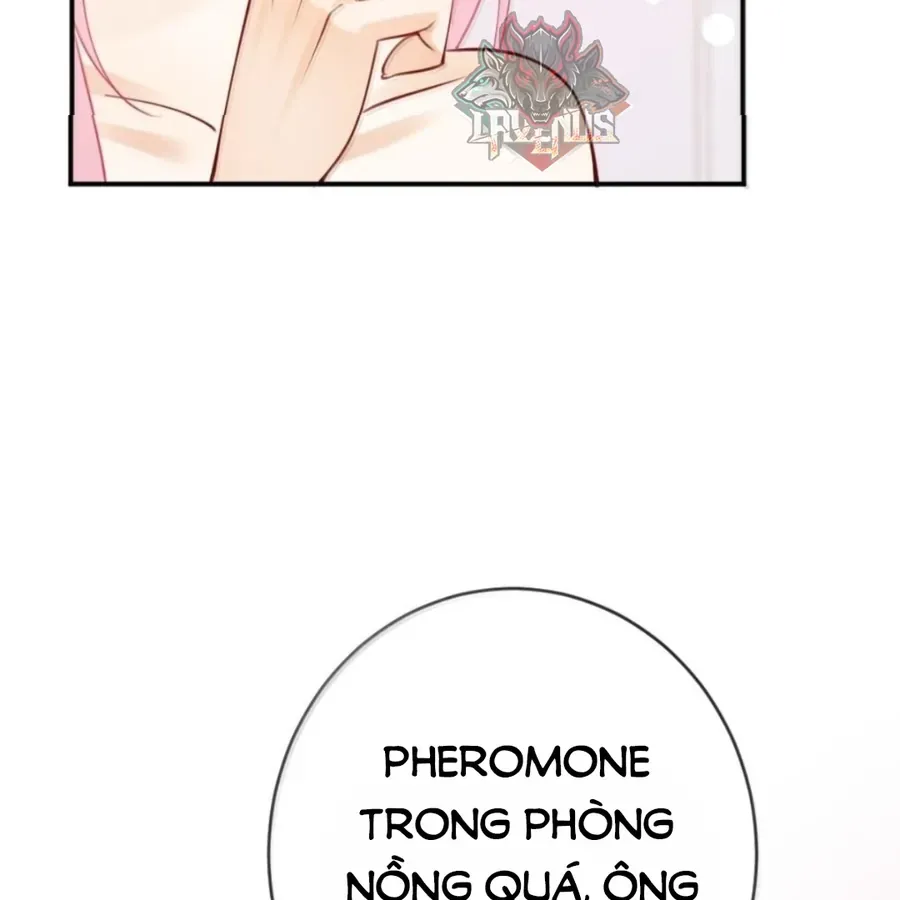 Nữ Chính Hắc Nguyệt Quang Luôn Muốn Đánh Dấu Tôi Chapter 42 - Trang 2