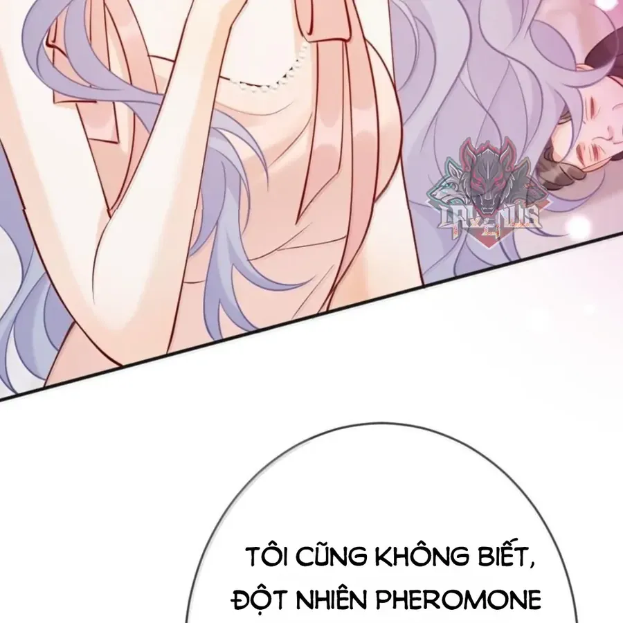 Nữ Chính Hắc Nguyệt Quang Luôn Muốn Đánh Dấu Tôi Chapter 42 - Trang 2