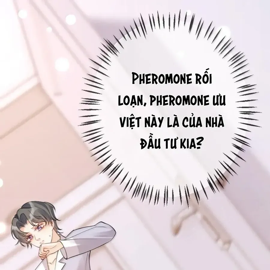 Nữ Chính Hắc Nguyệt Quang Luôn Muốn Đánh Dấu Tôi Chapter 42 - Trang 2