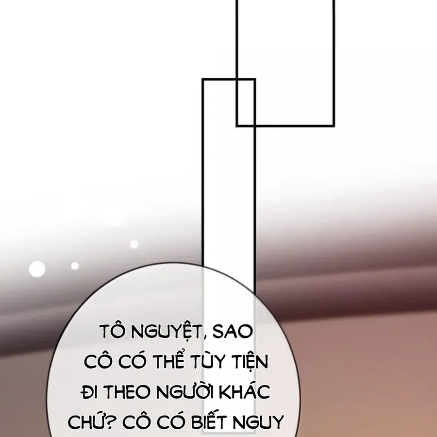 Nữ Chính Hắc Nguyệt Quang Luôn Muốn Đánh Dấu Tôi Chapter 42 - Trang 2