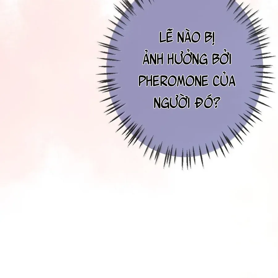 Nữ Chính Hắc Nguyệt Quang Luôn Muốn Đánh Dấu Tôi Chapter 42 - Trang 2