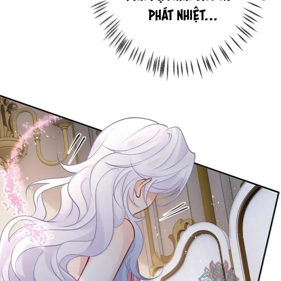 Nữ Chính Hắc Nguyệt Quang Luôn Muốn Đánh Dấu Tôi Chapter 42 - Trang 2