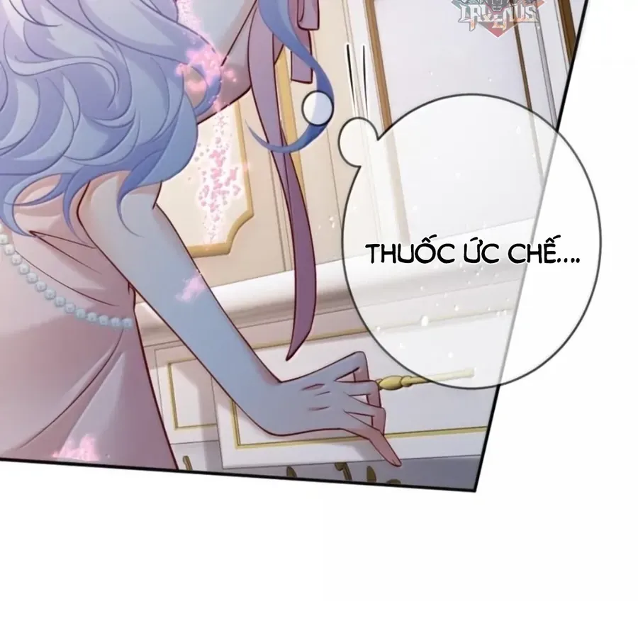 Nữ Chính Hắc Nguyệt Quang Luôn Muốn Đánh Dấu Tôi Chapter 42 - Trang 2