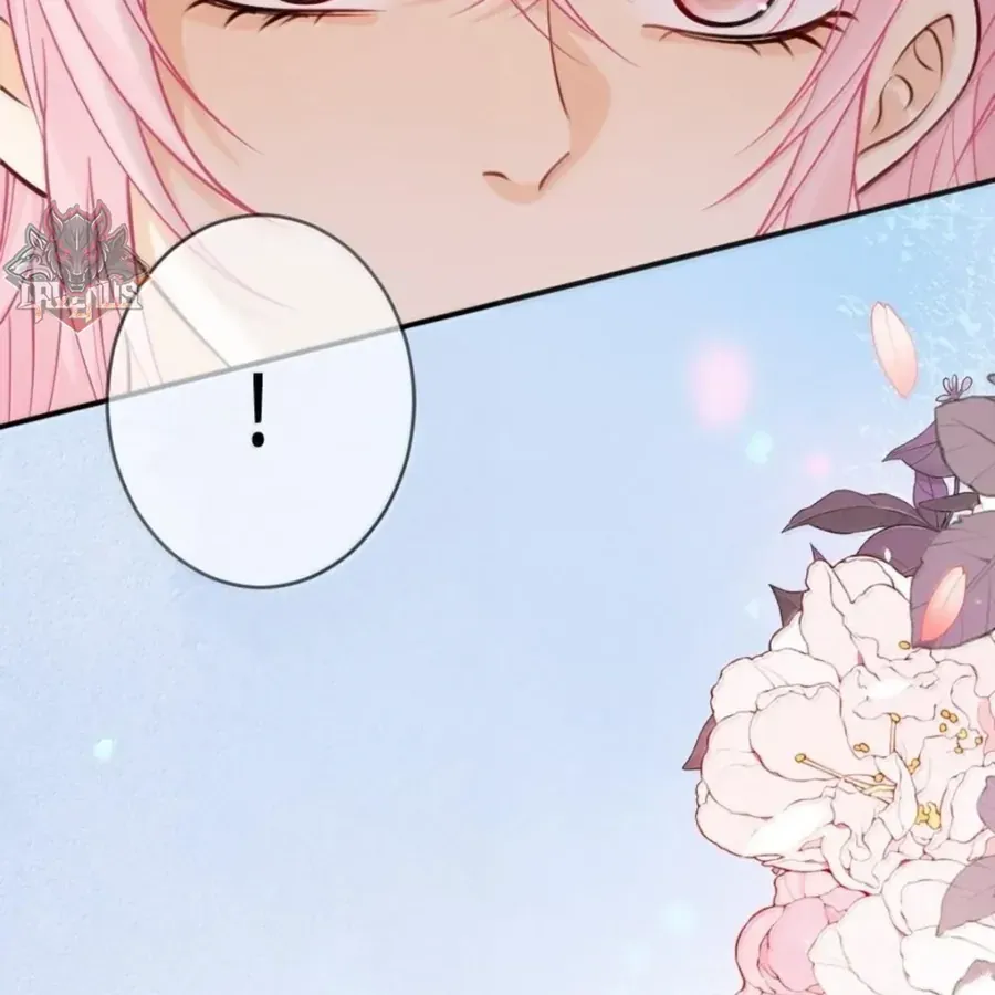 Nữ Chính Hắc Nguyệt Quang Luôn Muốn Đánh Dấu Tôi Chapter 42 - Trang 2