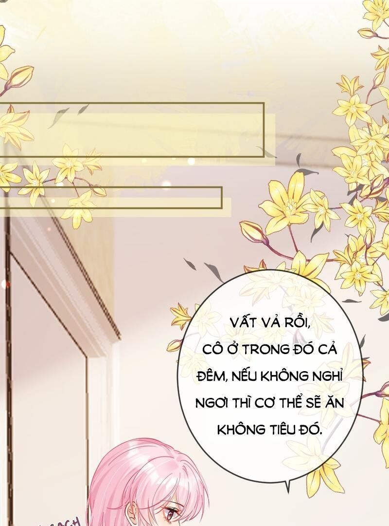 Nữ Chính Hắc Nguyệt Quang Luôn Muốn Đánh Dấu Tôi Chapter 5 - Trang 2