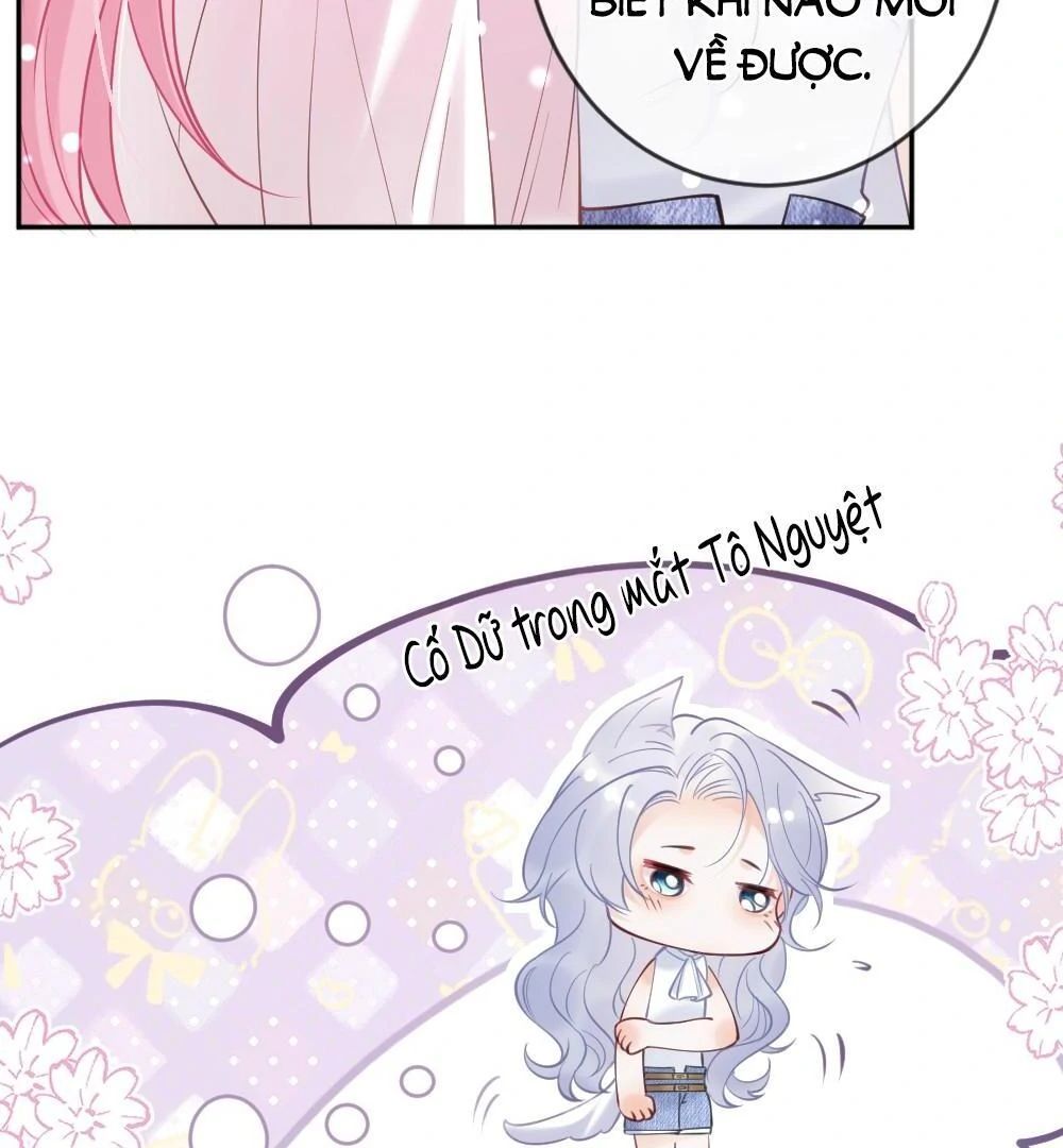 Nữ Chính Hắc Nguyệt Quang Luôn Muốn Đánh Dấu Tôi Chapter 6 - Trang 2