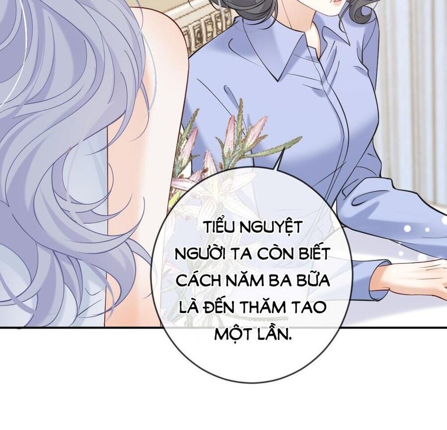 Nữ Chính Hắc Nguyệt Quang Luôn Muốn Đánh Dấu Tôi Chapter 6 - Trang 2