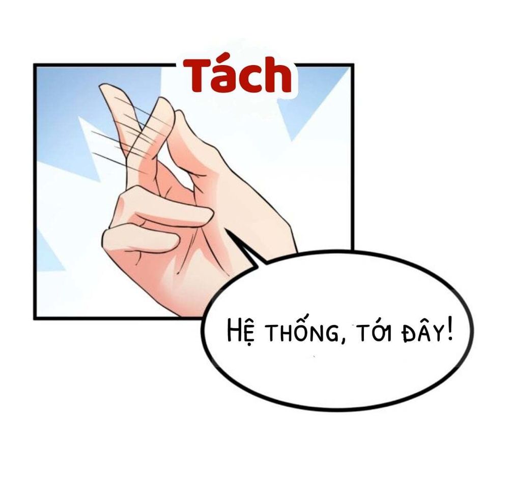 Nữ Chủ Người Đàn Ông Của Bạn Bị Hỏng Rồi Chapter 2 - Trang 2