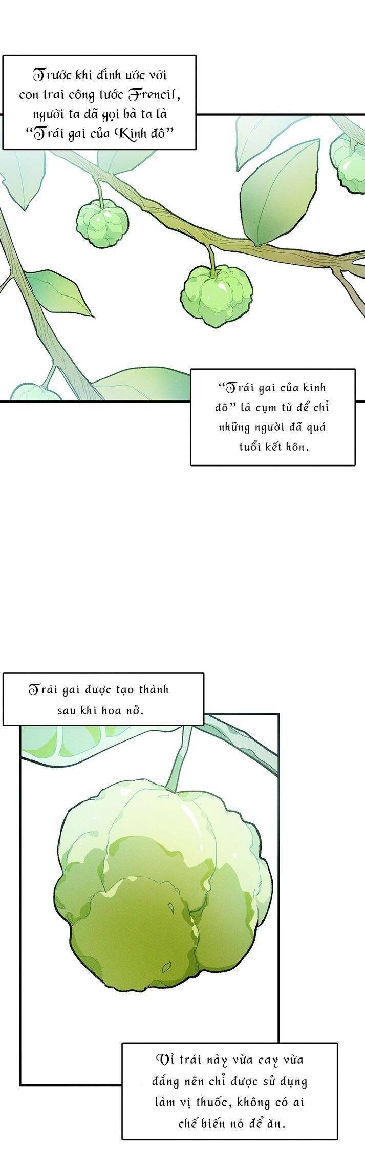 Nữ Đầu Bếp Hoàng Gia Chapter 12 - Trang 2