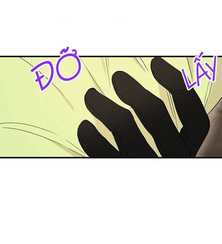 Nữ Đầu Bếp Hoàng Gia Chapter 34 - Trang 2