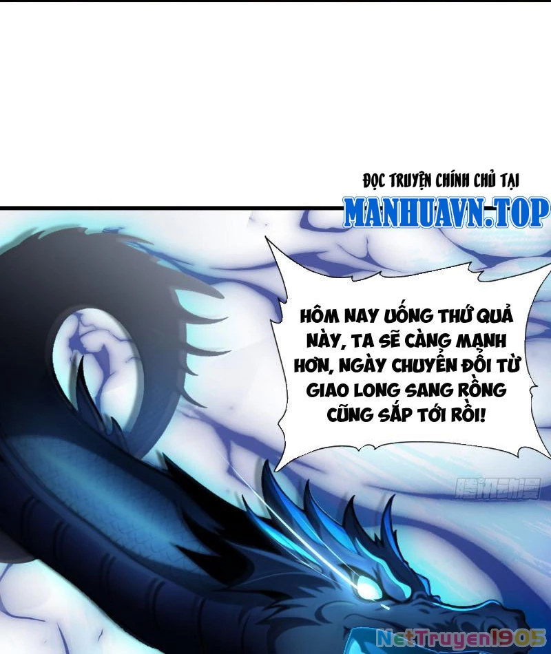 Nữ Đế Ma Tôn Xuyên Không Thành Cấp Trên Của Tôi Chapter 42 - Trang 2