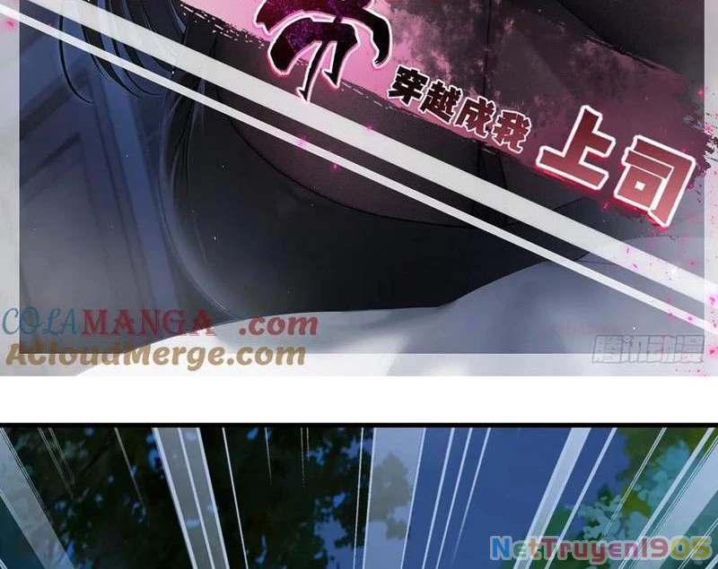 Nữ Đế Ma Tôn Xuyên Không Thành Cấp Trên Của Tôi Chapter 43 - Trang 2