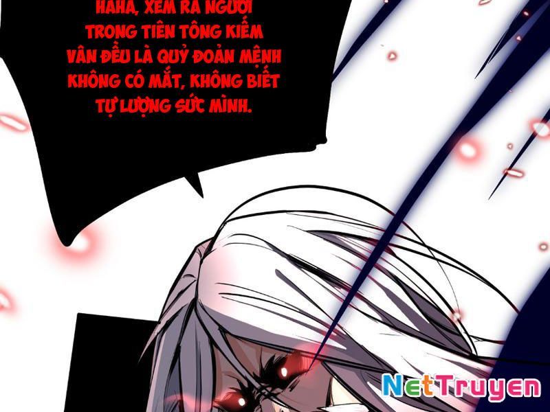 Nữ Đồ Đệ Của Ta Muốn Hắc Hóa Chapter 2 - Trang 2