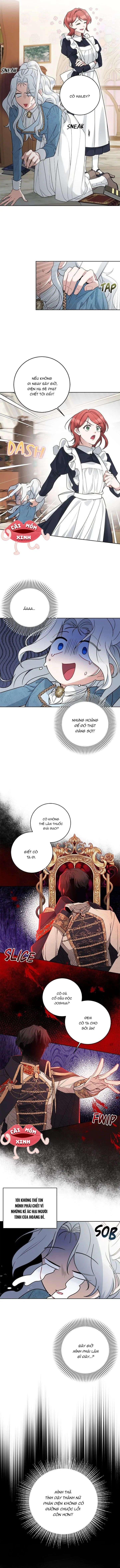 Nữ DượC Sư CủA Vị HoàNg Đế Si TìNh Chapter 1 - Trang 2