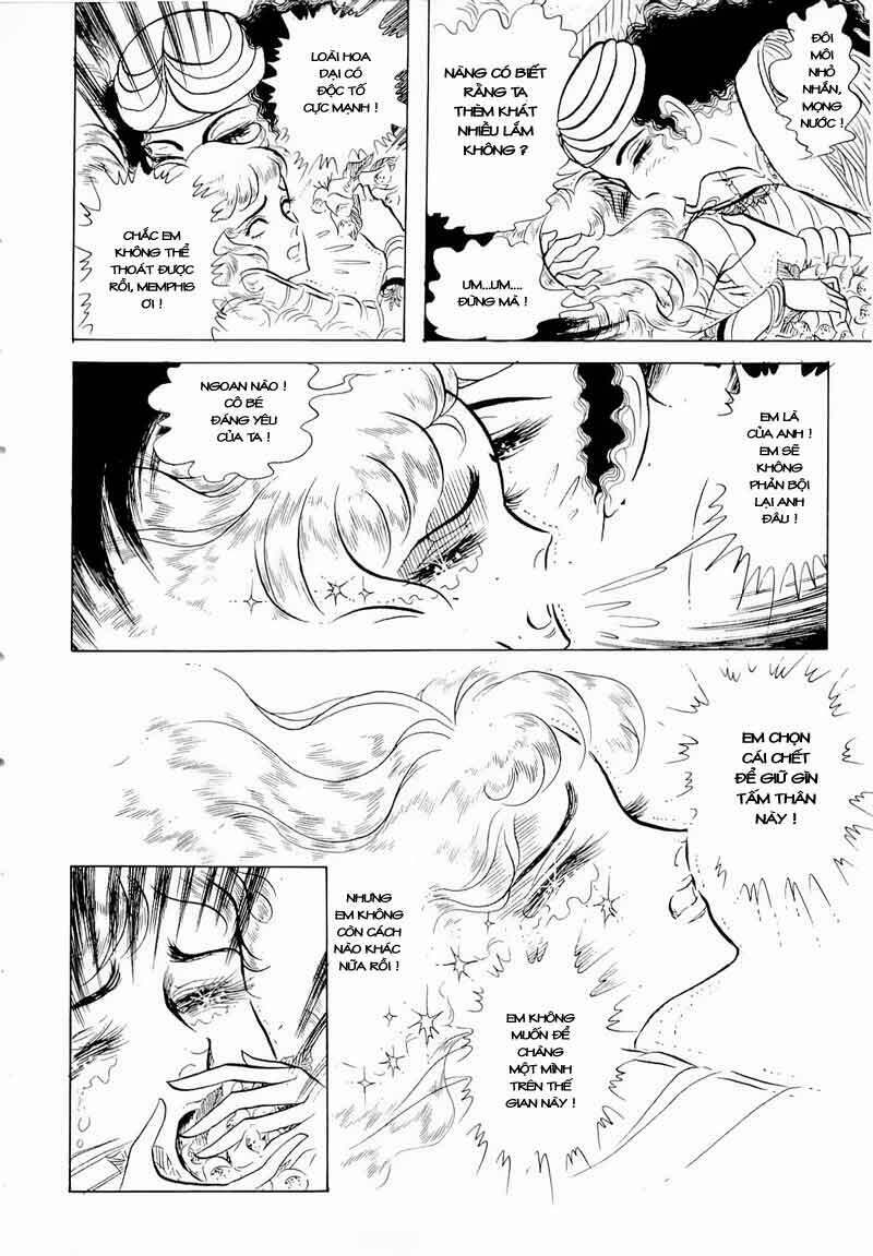 Nữ Hoàng Ai Cập Chapter 61 - Trang 2