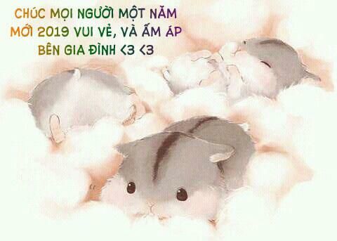 Nữ Hoàng Ngoại Khoa Chapter 21 - Trang 2