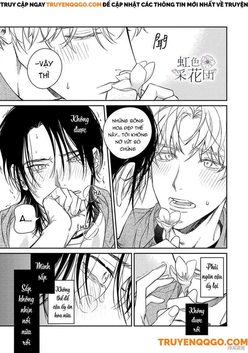 Nụ Hôn Cho Kẻ Trộm Hoa Chapter 3 - Trang 2