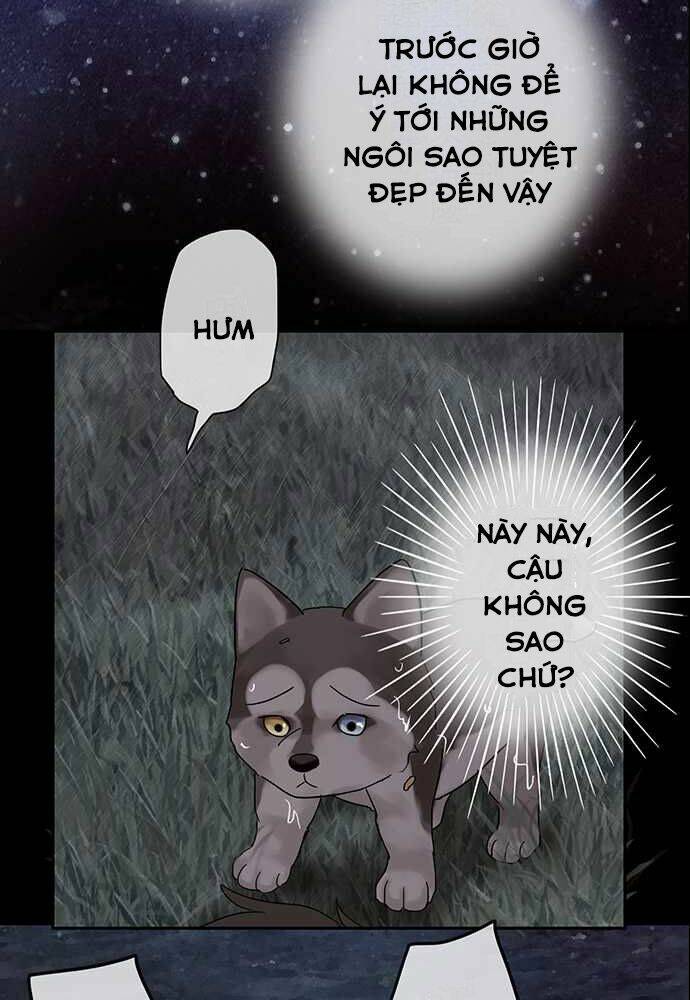 Nụ Hôn Nguyền Rủa Chapter 27 - Trang 2