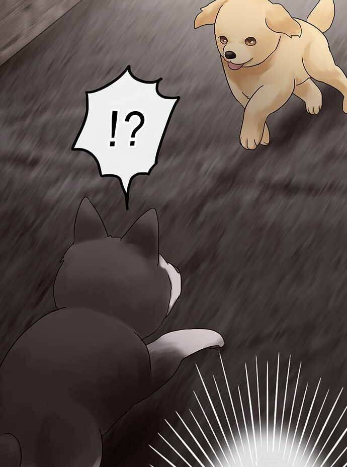 Nụ Hôn Nguyền Rủa Chapter 28 - Trang 2