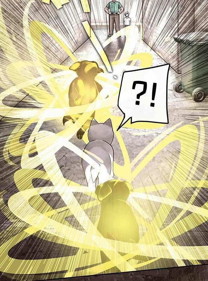 Nụ Hôn Nguyền Rủa Chapter 28 - Trang 2