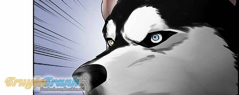 Nụ Hôn Nguyền Rủa Chapter 55 - Trang 2