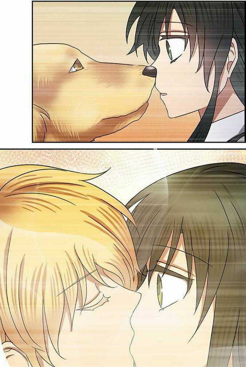 Nụ Hôn Nguyền Rủa Chapter 67 - Trang 2