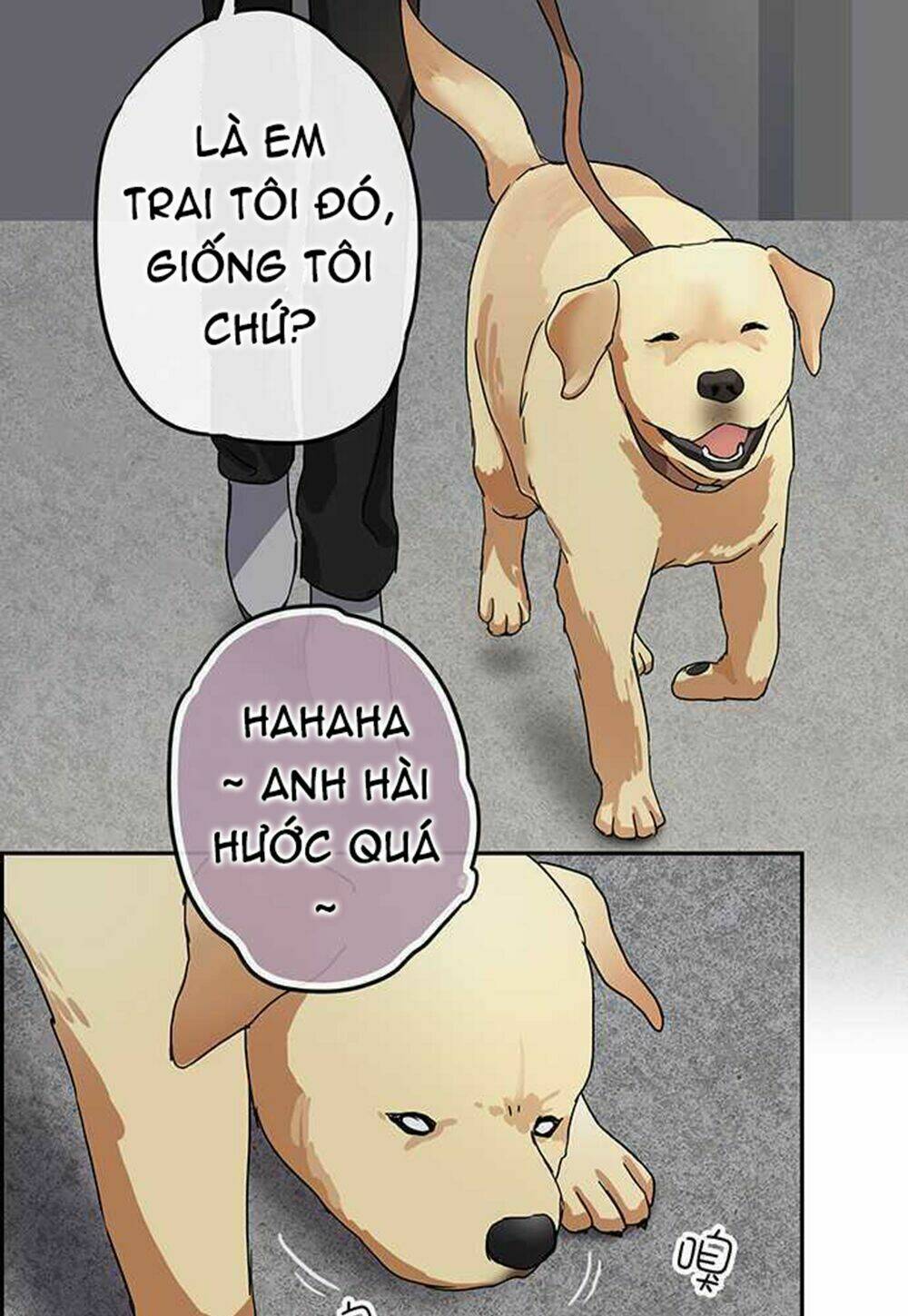 Nụ Hôn Nguyền Rủa Chapter 88 - Trang 2