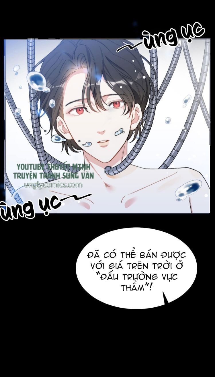Nụ Hôn Vực Thẳm Chapter 2 - Trang 2