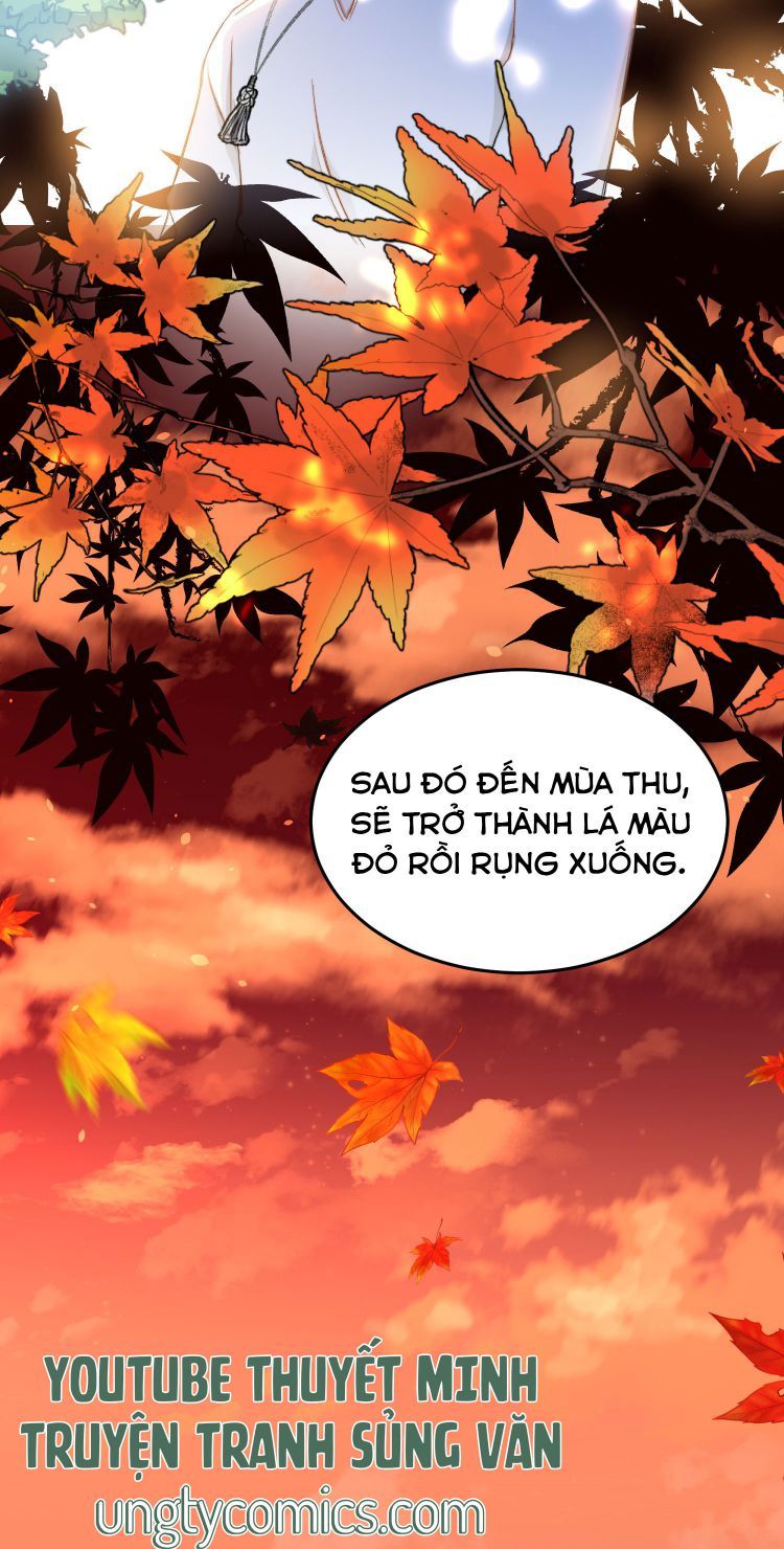 Nụ Hôn Vực Thẳm Chapter 30 - Trang 2