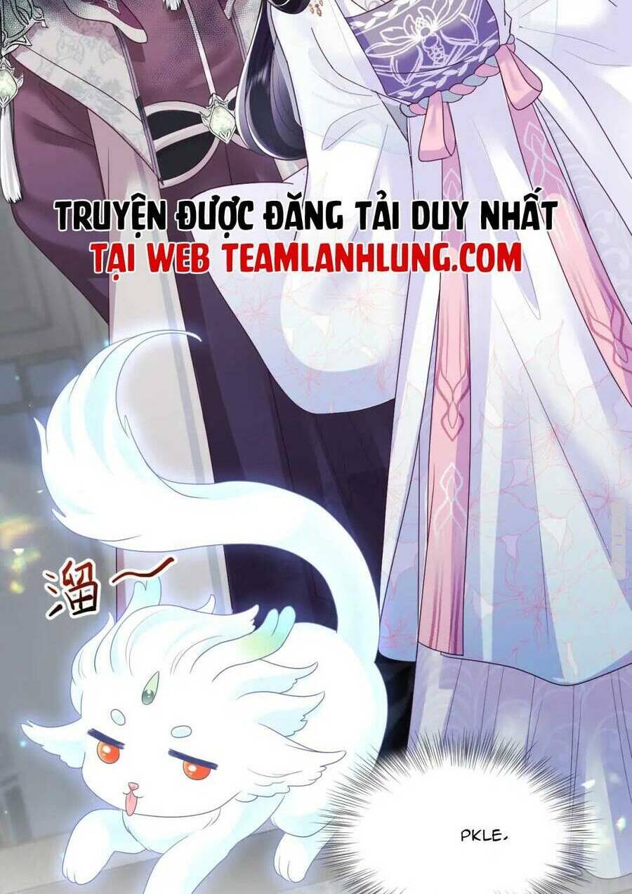 Nữ Phụ Ác Độc Và Vương Gia Phản Diện Cấm Dục Chapter 25 - Trang 2