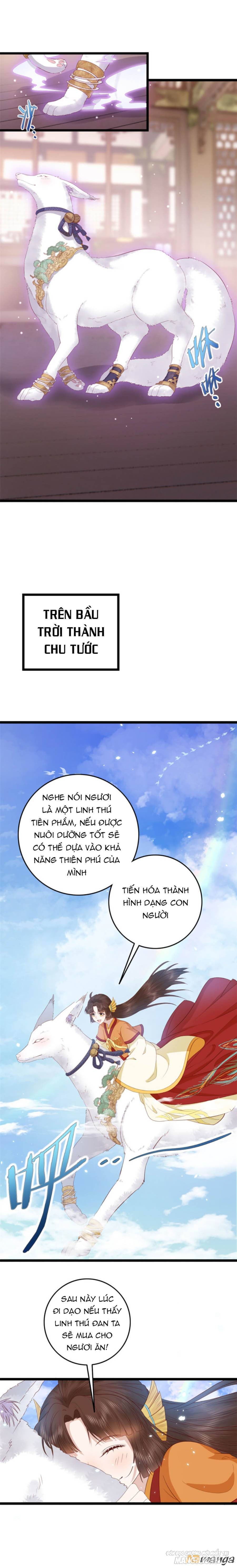 Nữ Phụ Không Thể Chọc Giận Chapter 13 - Trang 2