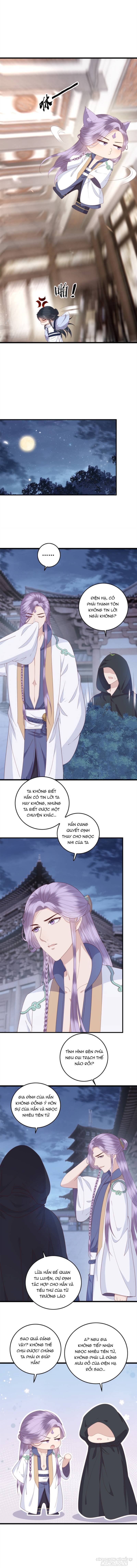 Nữ Phụ Không Thể Chọc Giận Chapter 43 - Trang 2