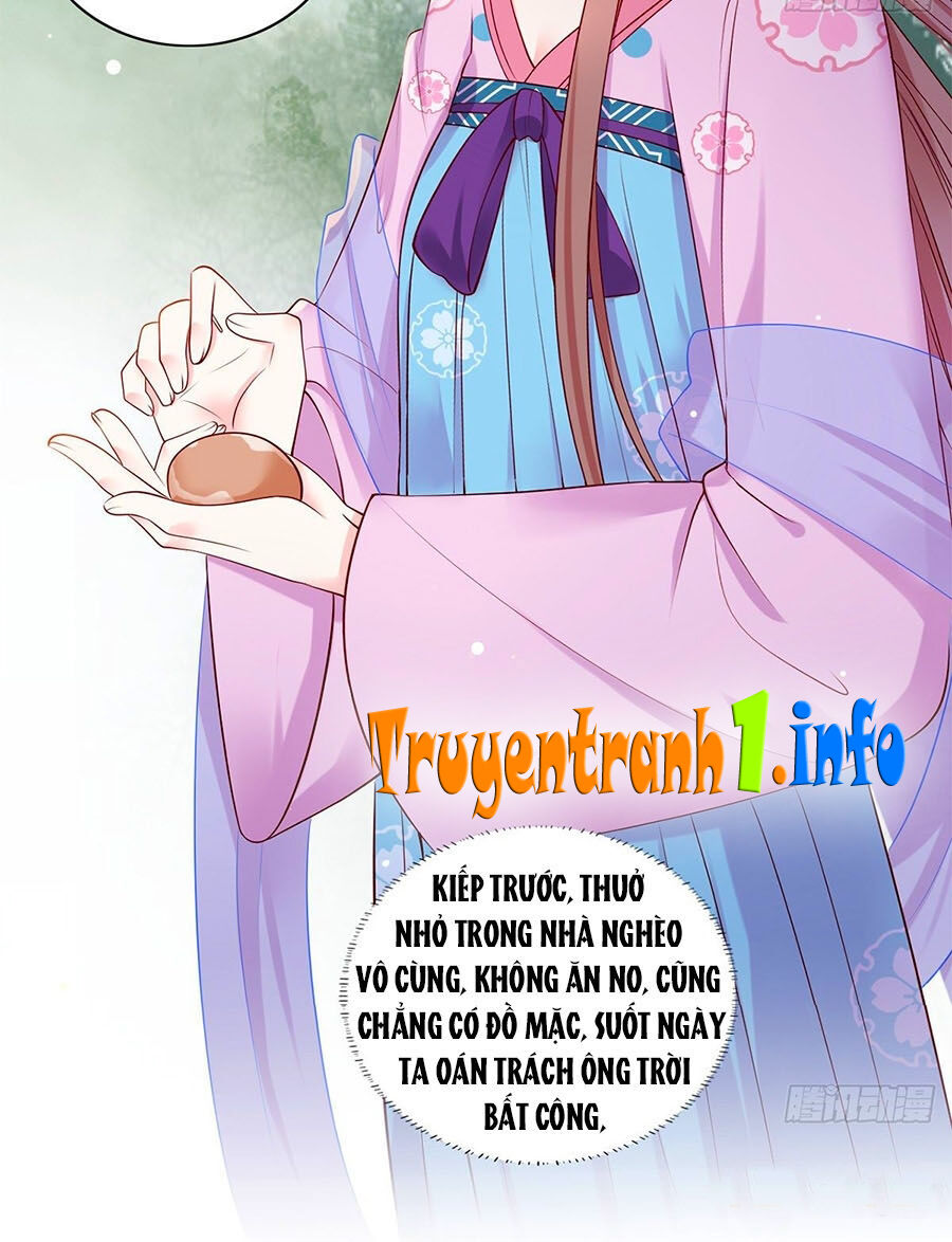 Nữ Thủ Phú Chi Kiều Sủng Nhiếp Chính Vương Chapter 19 - Trang 2