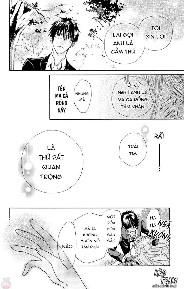 Nữ Tu Sĩ Và Ma Cà Rồng Chapter 1 - Trang 2