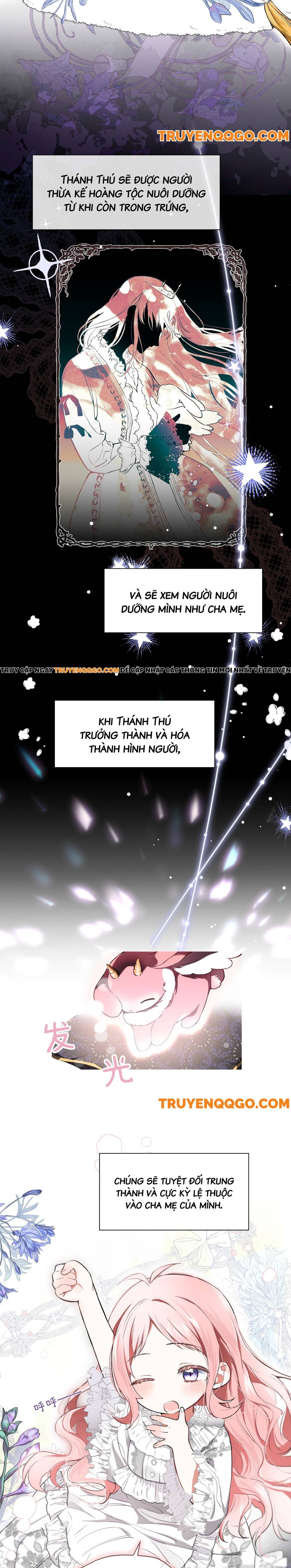 Nữ Vương Chế Ngự Anh Hùng Chapter 1 - Trang 2