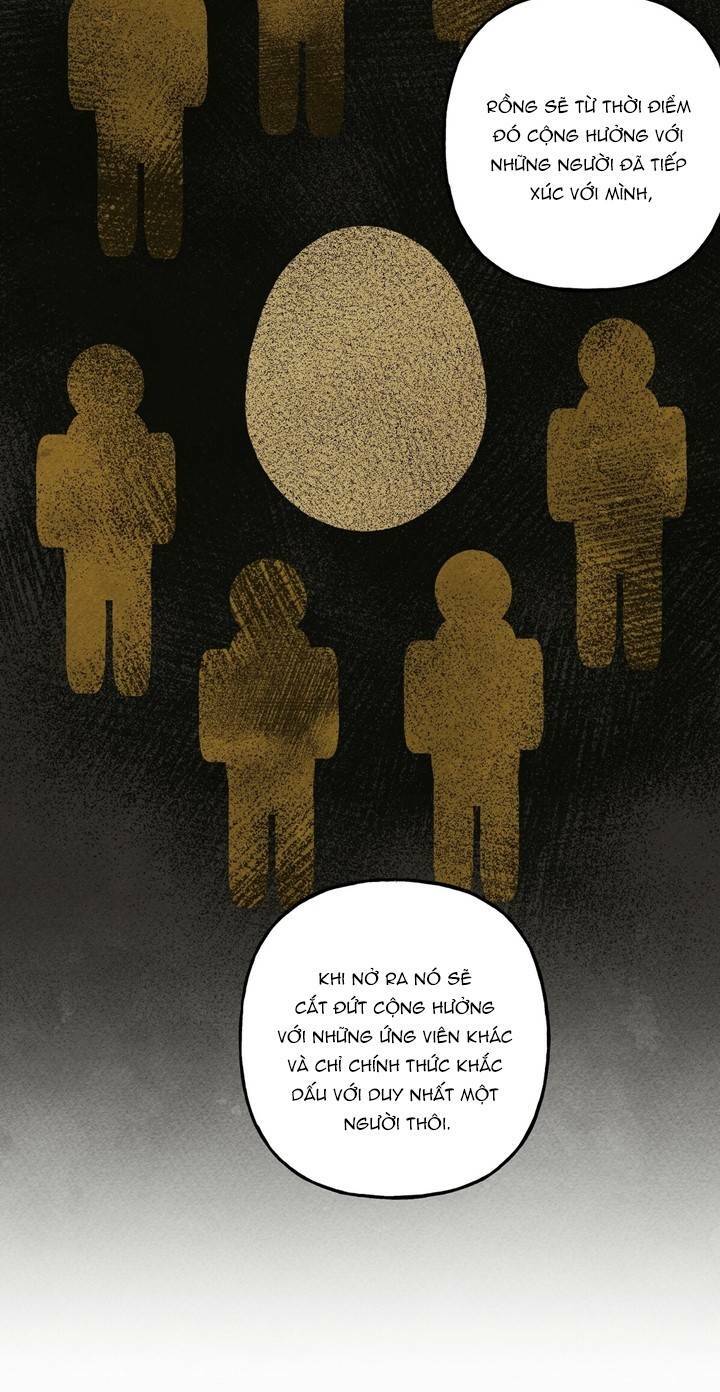 Nuôi Dưỡng Một Bé Rồng Đen Chapter 12 - Trang 2