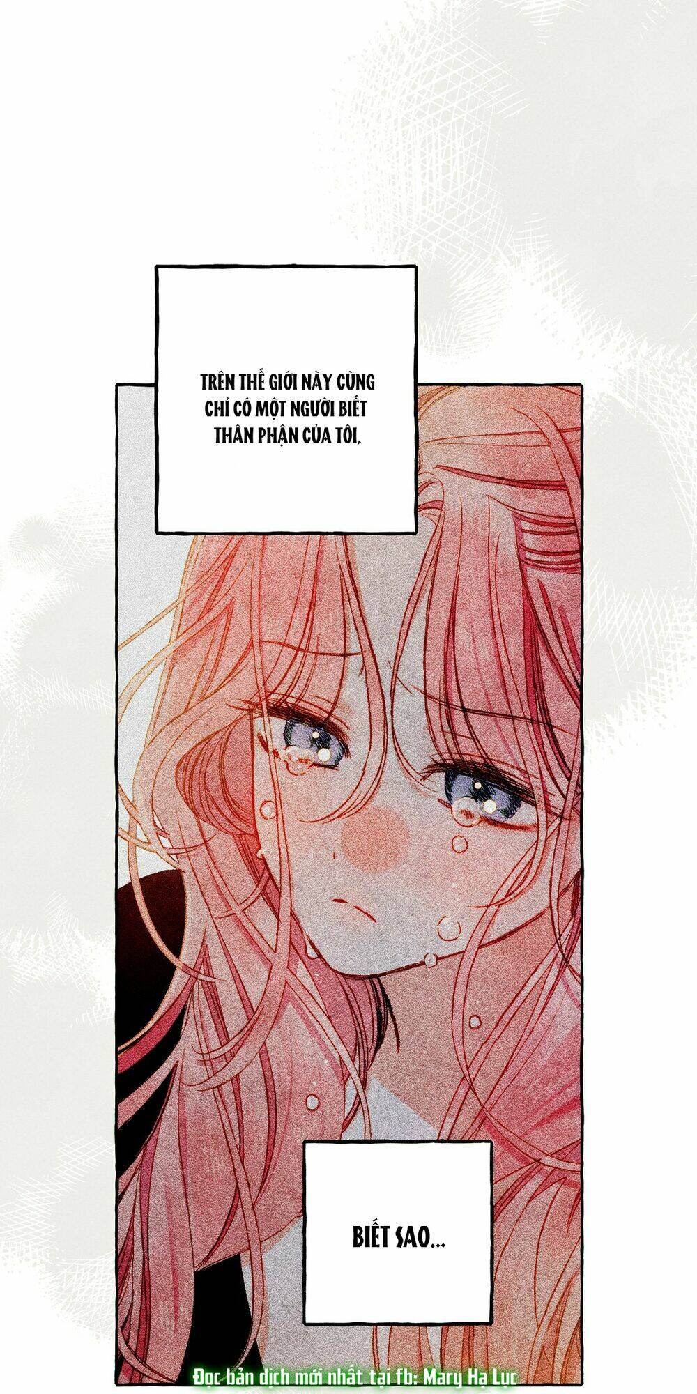 Nuôi Dưỡng Một Bé Rồng Đen Chapter 36.2 - Trang 2