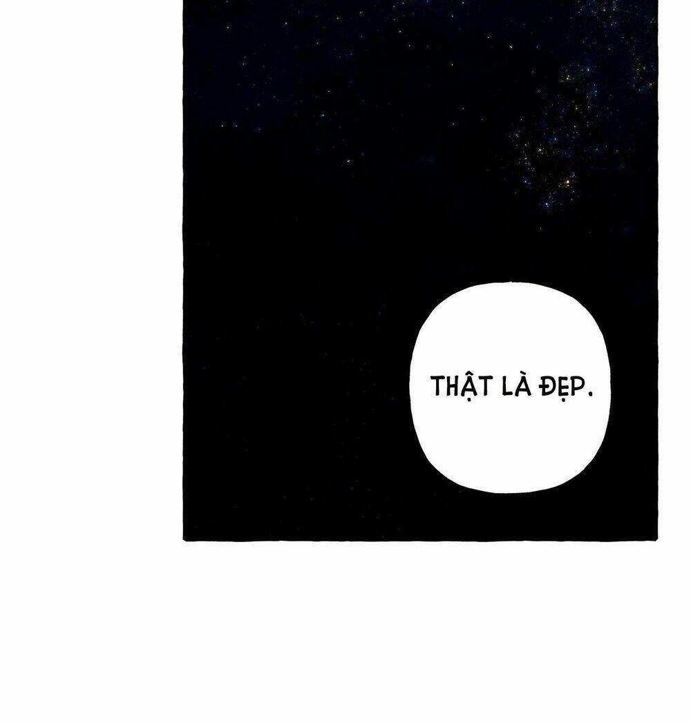 Nuôi Dưỡng Một Bé Rồng Đen Chapter 43 - Trang 2