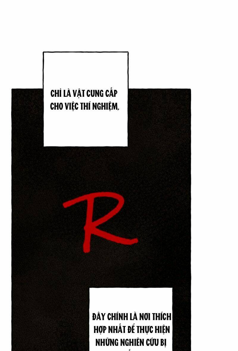 Nuôi Dưỡng Một Bé Rồng Đen Chapter 50 - Trang 2