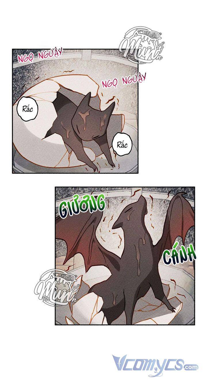 Nuôi Dưỡng Một Hắc Long Chapter 1 - Trang 2