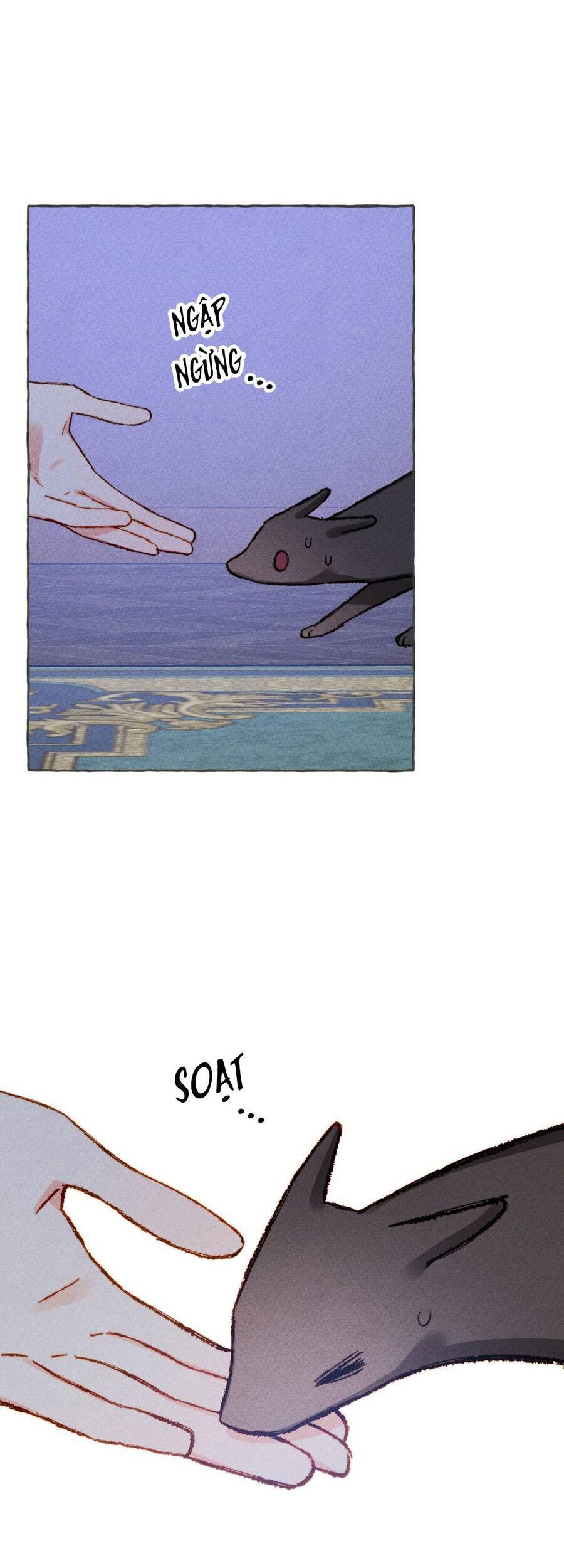 Nuôi Dưỡng Một Hắc Long Chapter 10 - Trang 2