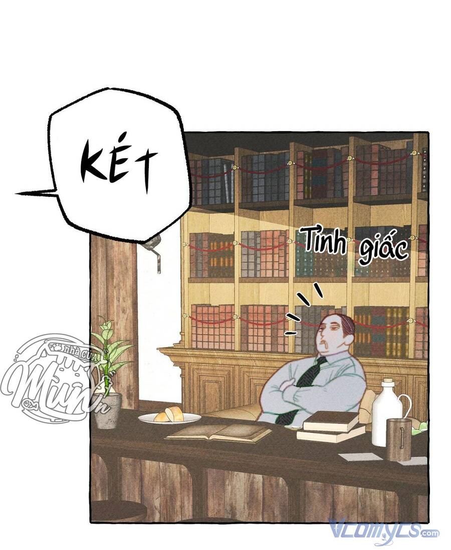 Nuôi Dưỡng Một Hắc Long Chapter 2 - Trang 2