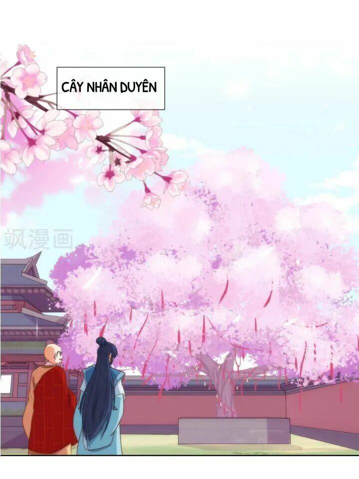 Ồ, Phu Quân Đáng Yêu Của Tôi! Chapter 14 - Trang 2