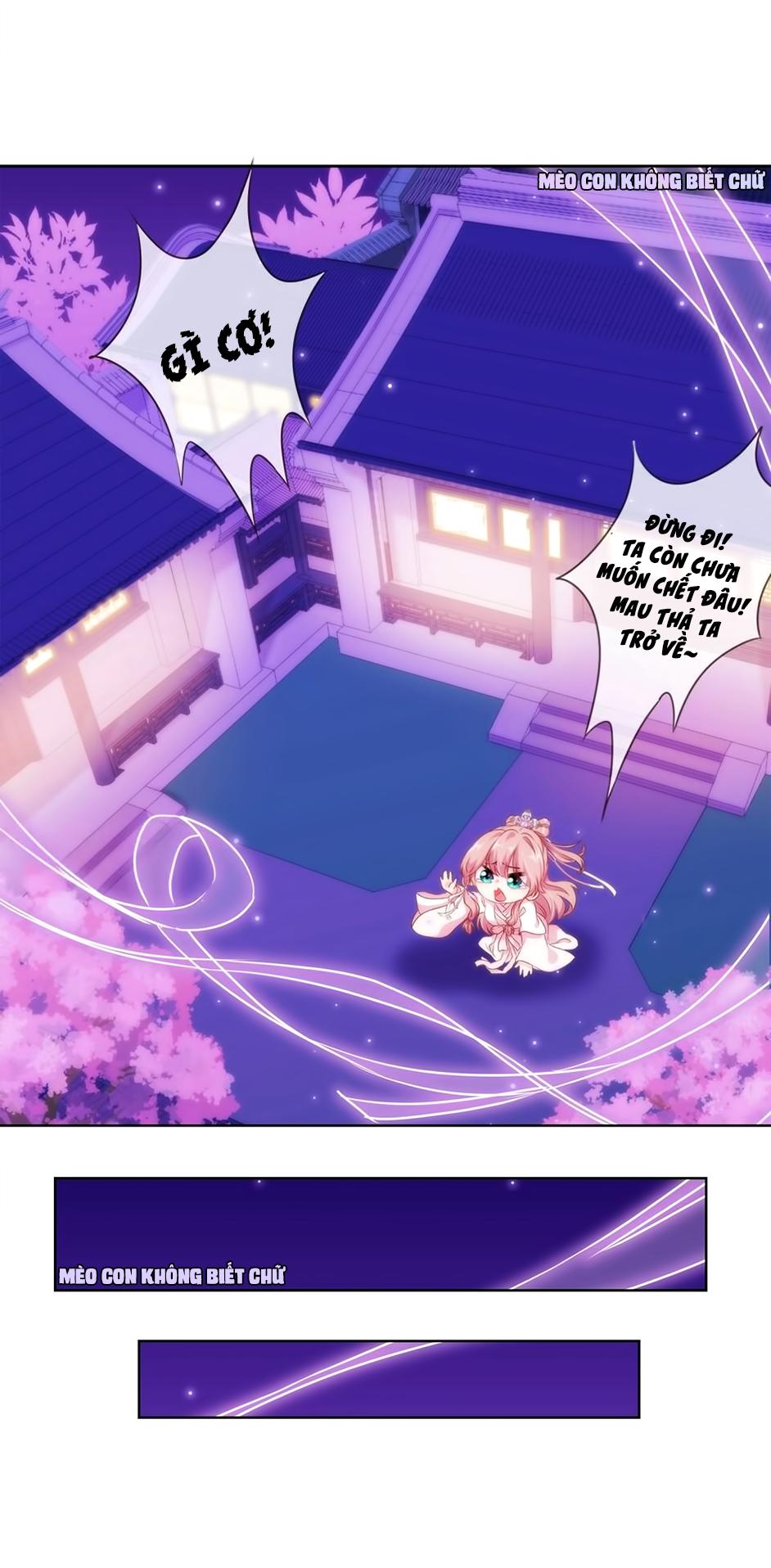 Ồ, Sủng Phi Đại Nhân Của Ta Chapter 1 - Trang 2