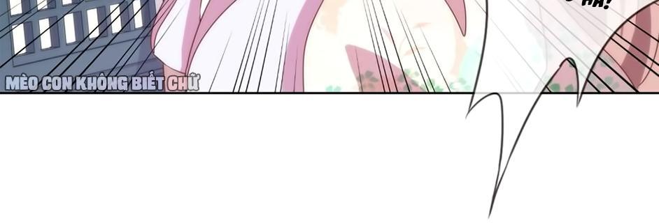 Ồ, Sủng Phi Đại Nhân Của Ta Chapter 3 - Trang 2