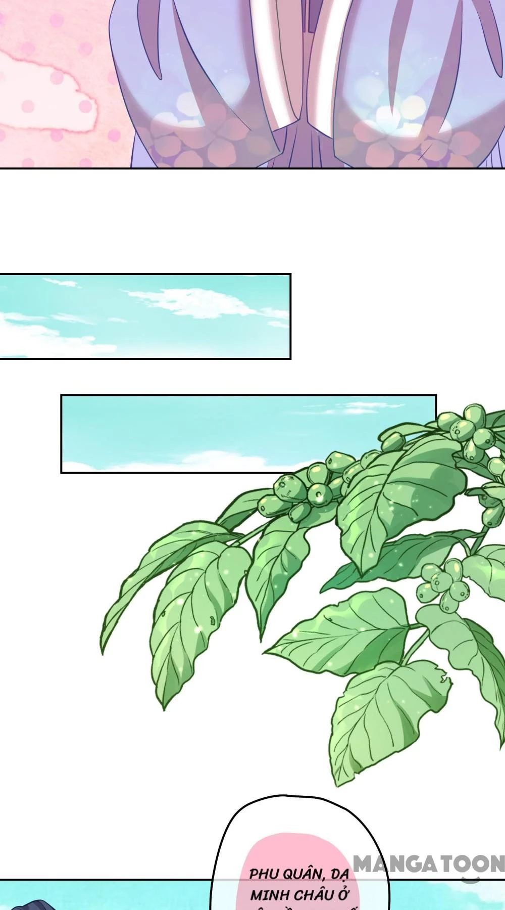 Ồ, Sủng Phi Đại Nhân Của Ta Chapter 374 - Trang 2