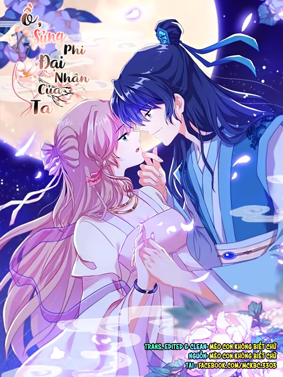 Ồ, Sủng Phi Đại Nhân Của Ta Chapter 6 - Trang 2