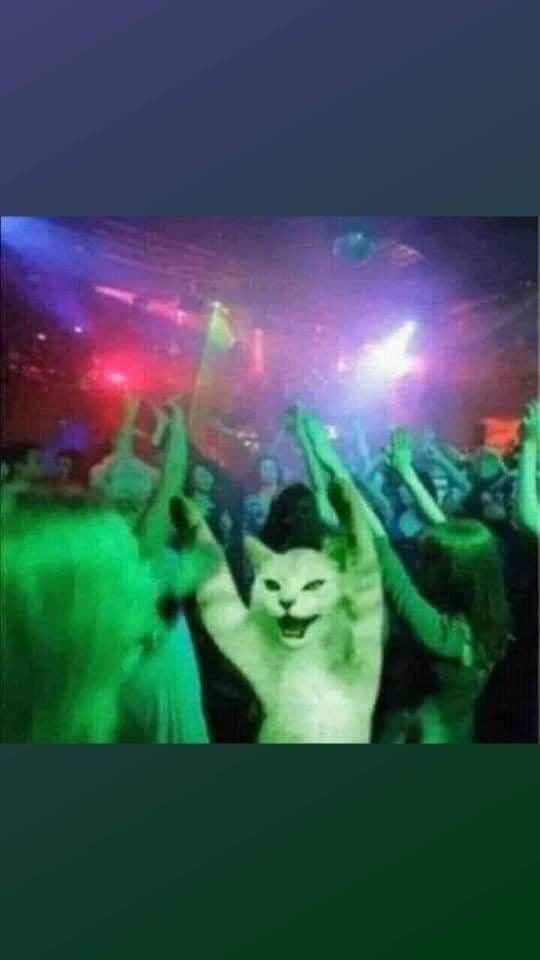 Oan Gia Chung Nhà! Chapter 2.5 - Trang 2