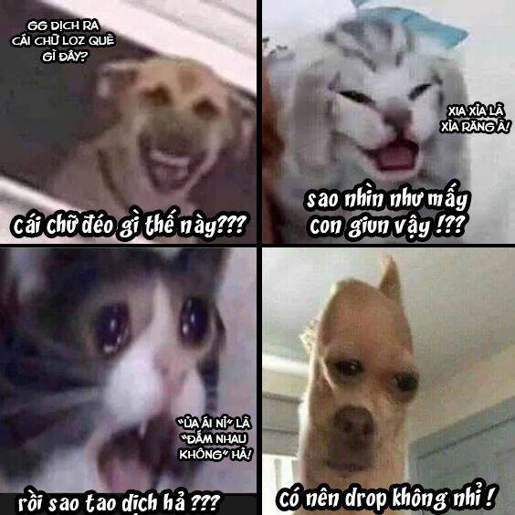 Oan Gia Chung Nhà! Chapter 4 - Trang 2